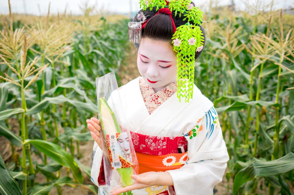 京都舞コーンの特徴「人気の理由は畑にある」